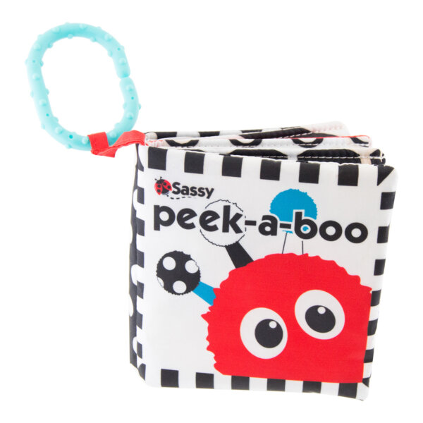 Sassy Peek-a-Boo Activity Book