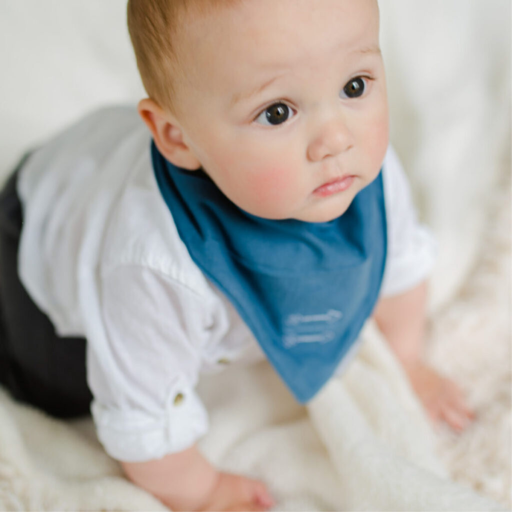 BabySense Bandana Bib