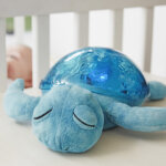 Cloud B Tranquil Turtle