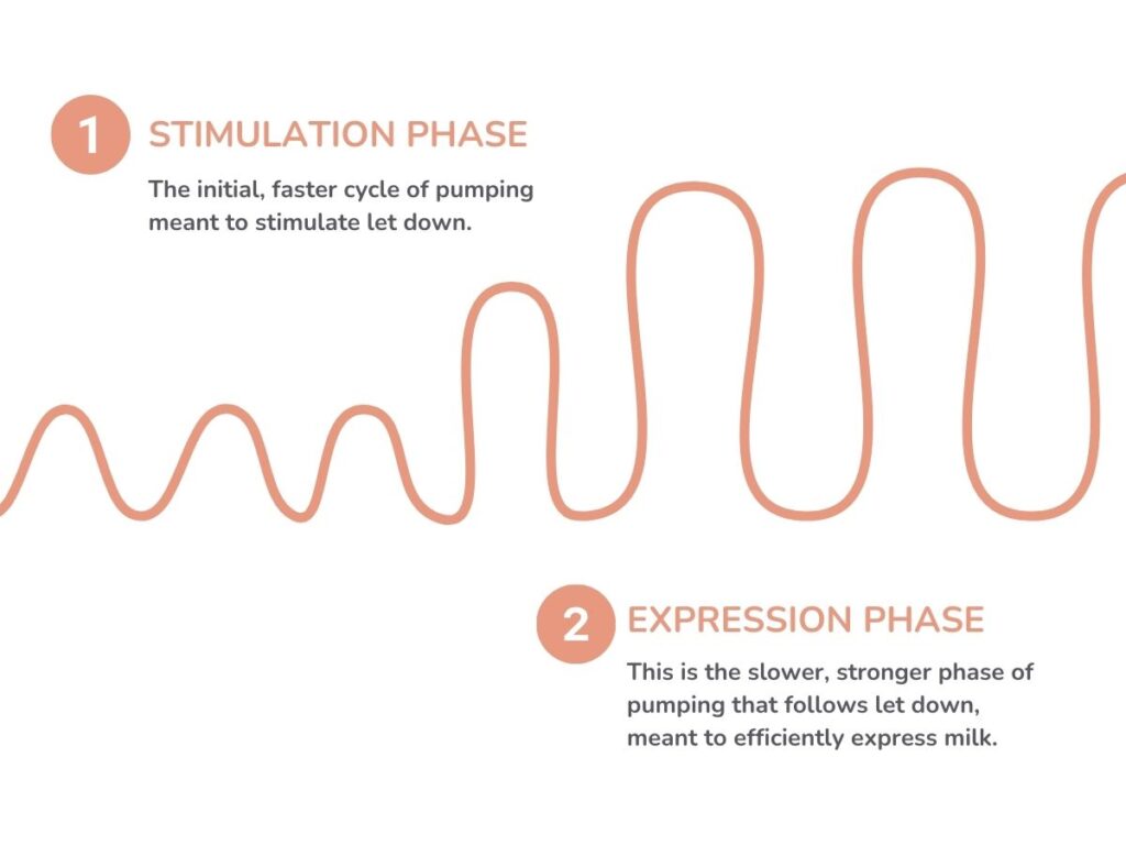 Breast Pump Buying Guide The Benefits of Pumping​ DPE