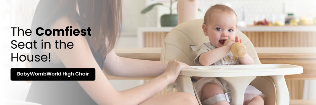 BabyWombWorld High Chair