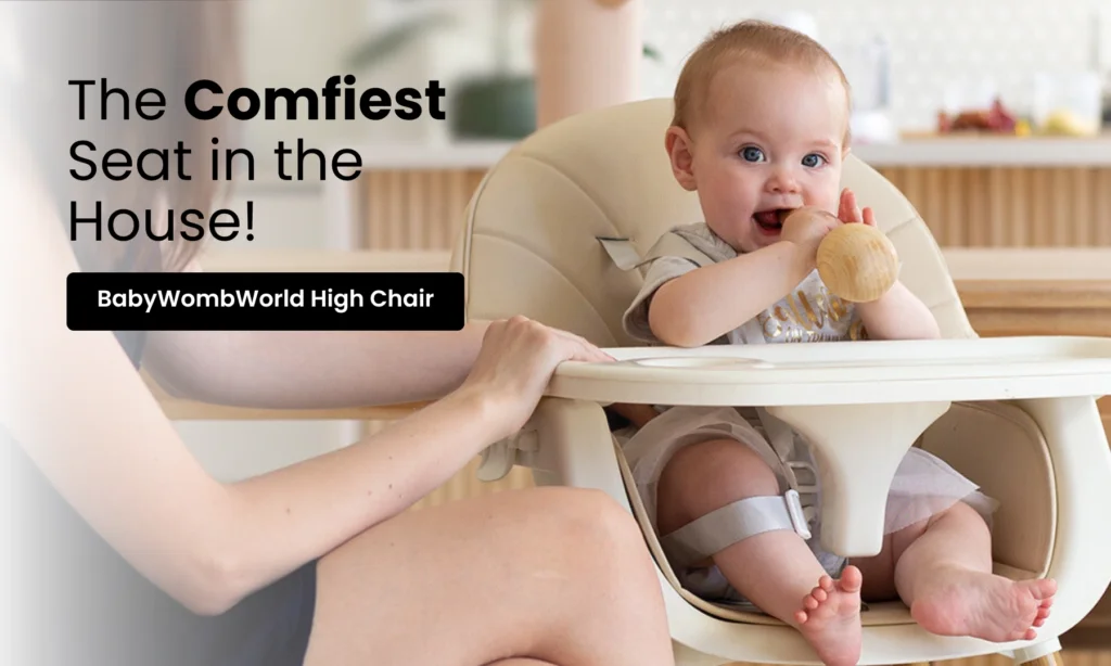 BabyWombWorld High Chair Mobile